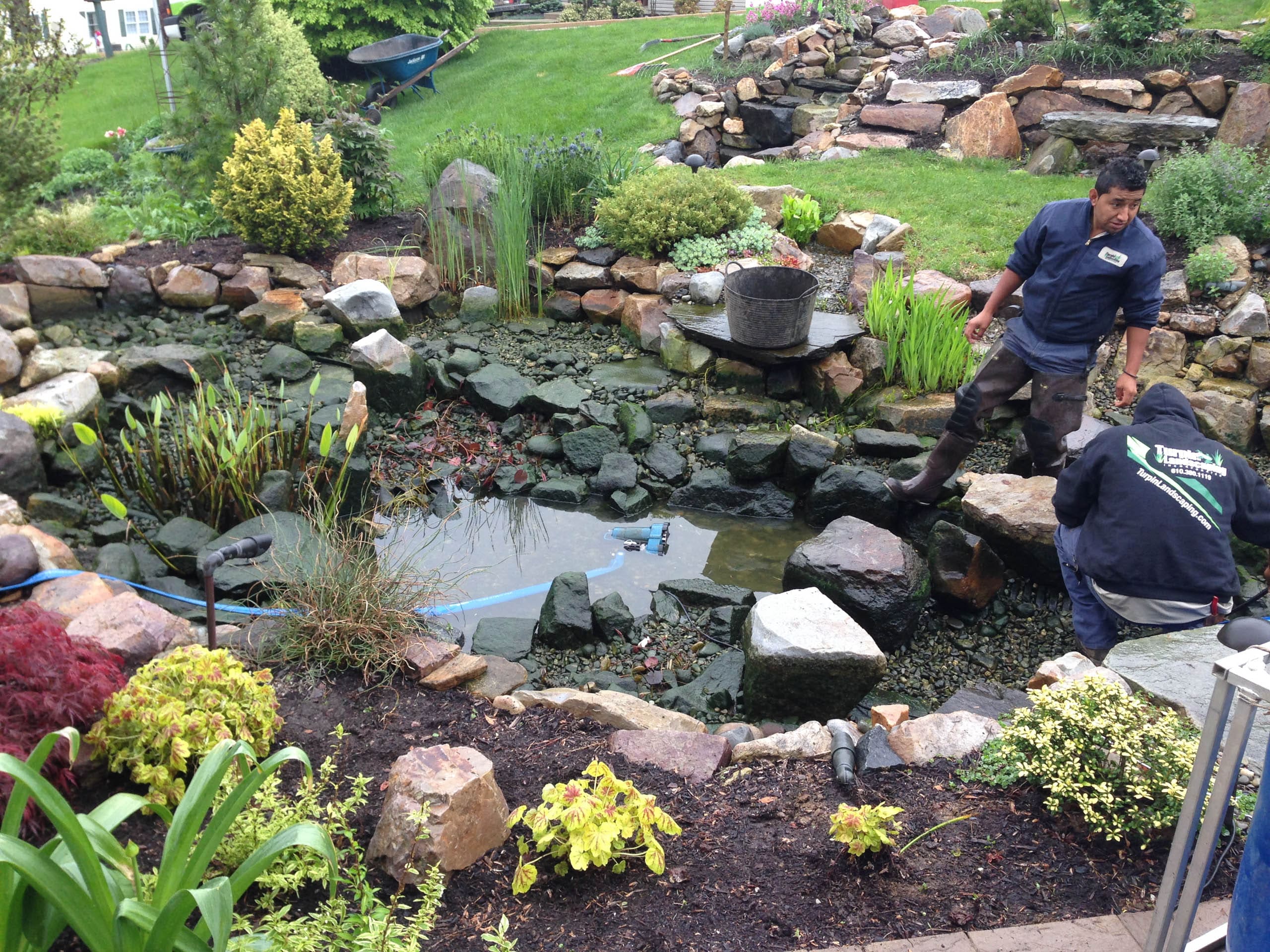 Pond Maintenance Service for West Chester, PA