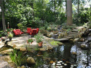 Common Lies about your Koi Pond
