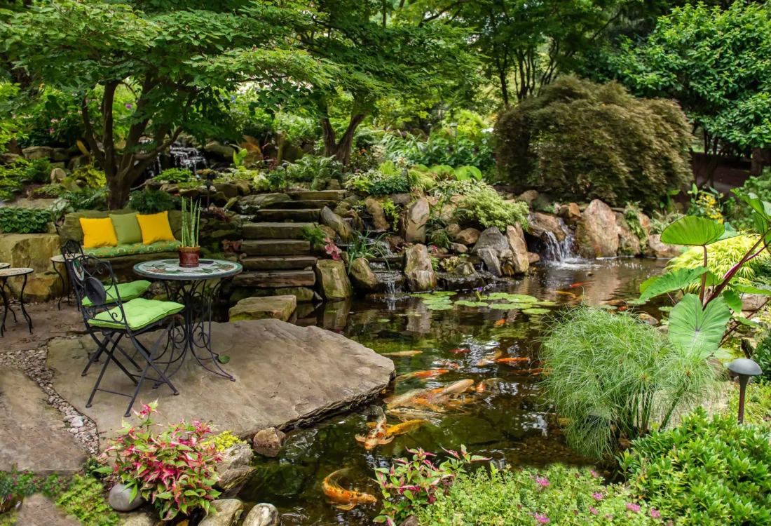 West Chester, PA Pool and Pond Company