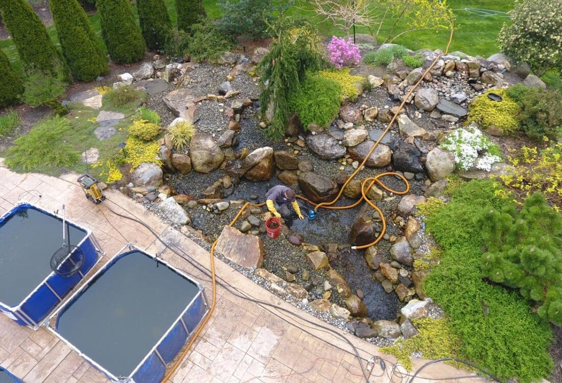Pond Maintenance Service for West Chester, PA