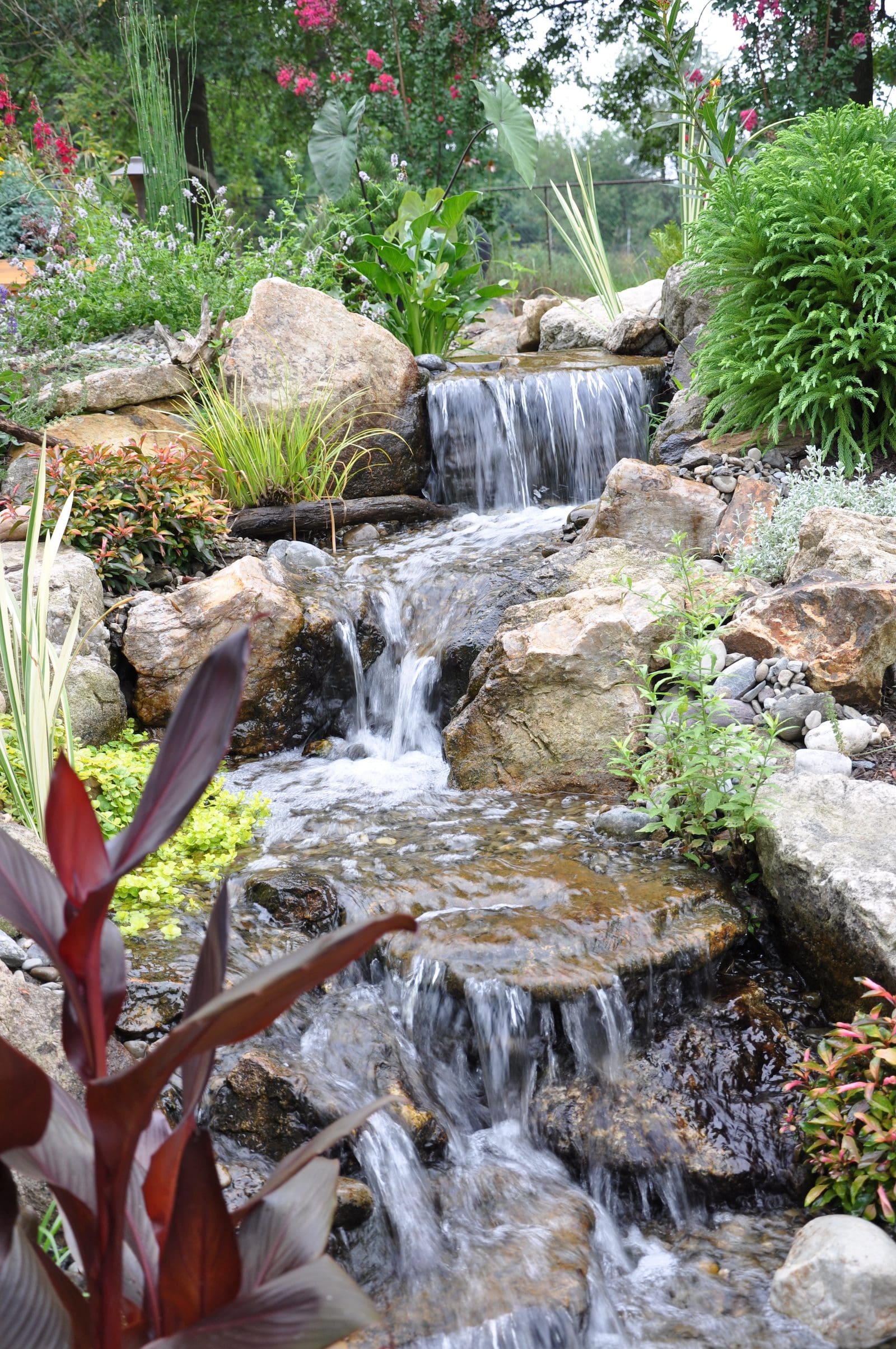 The Annual Water Garden Weekend Tour and Water Garden Evening Tour in ...