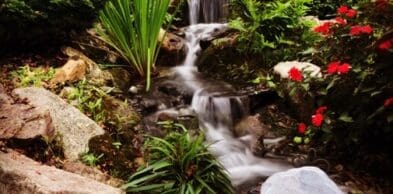 Pondless Waterfall Chester County PA
