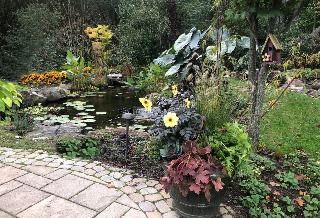 Ponds Outdoor Living Downingtown PA