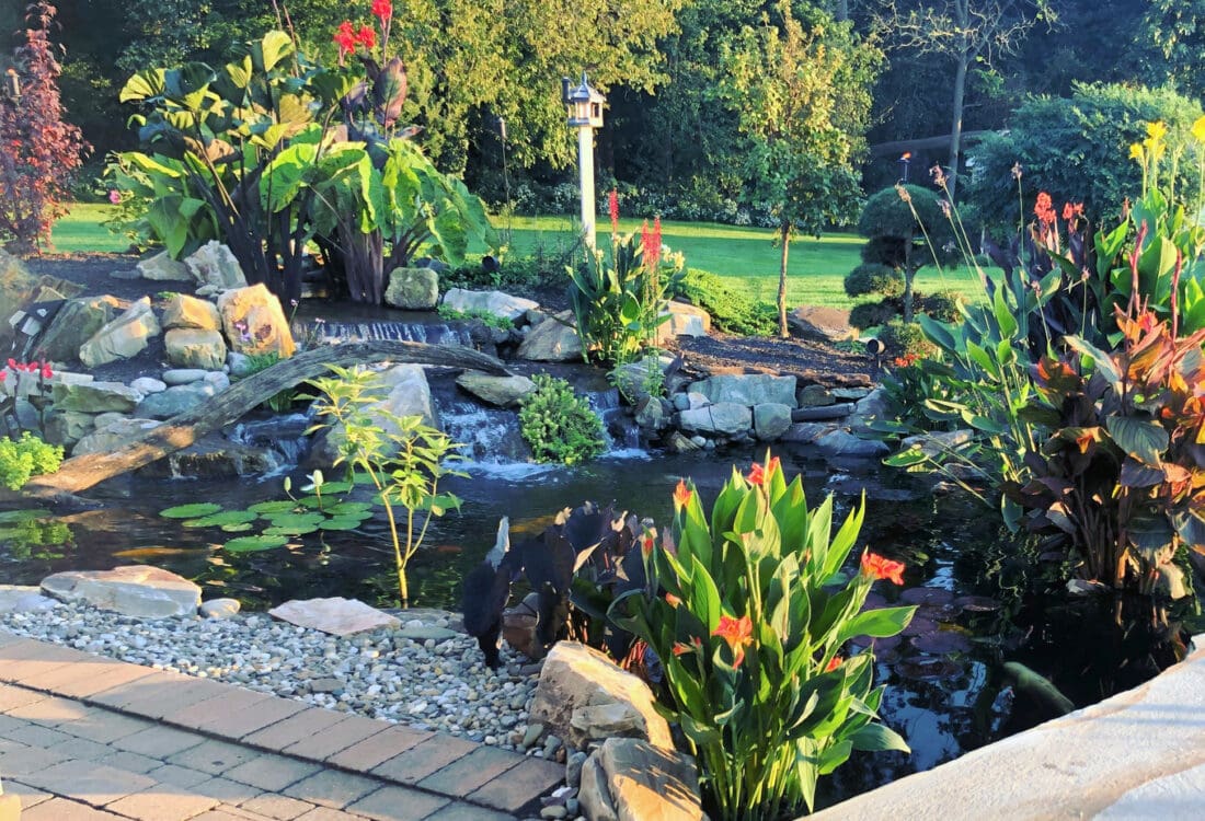 ponds waterfalls