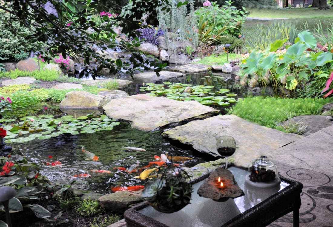 Ponds Waterfalls Downingtown PA