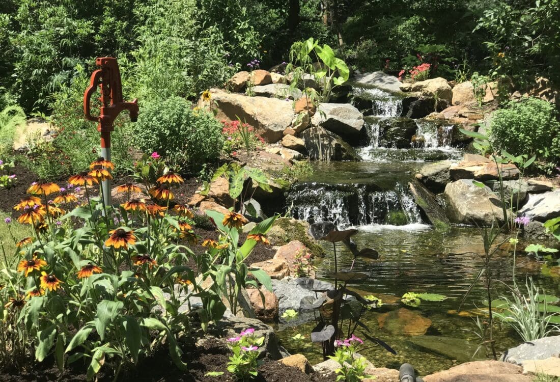 Ponds Waterfalls East Marlborough PA