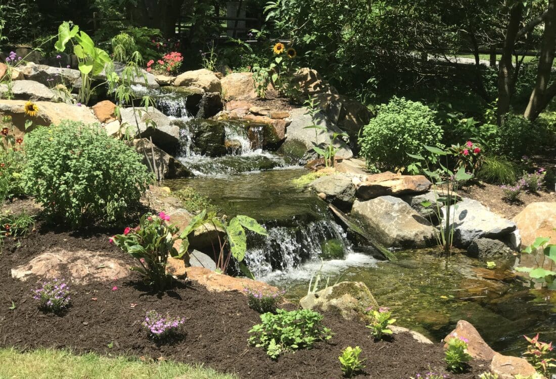 Ponds Waterfalls East Marlborough PA