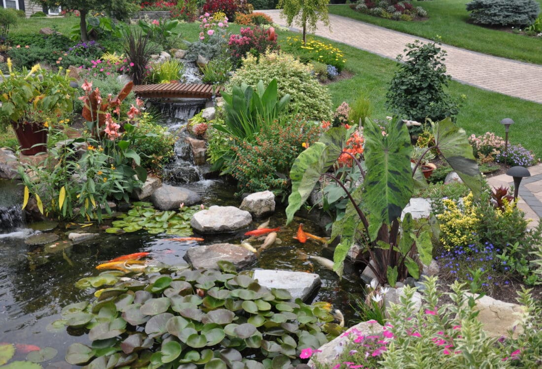 Ponds Waterfalls Exton PA