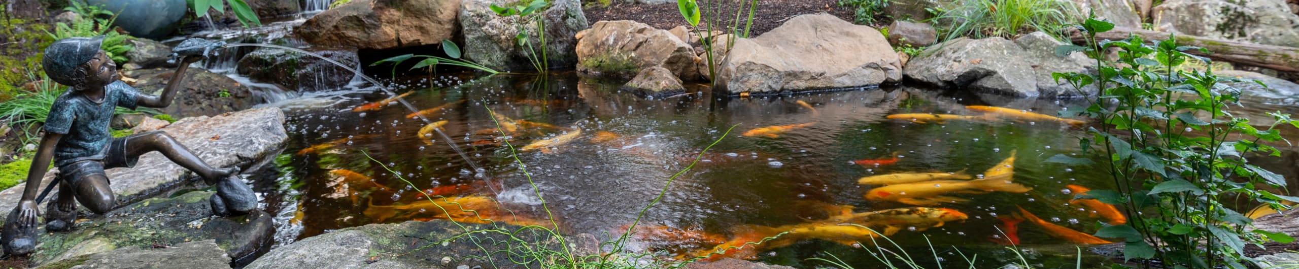 Ponds_Chester_County Ponds_Chester_County