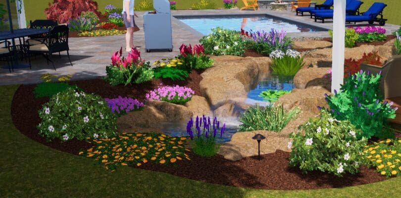 pond pool design
