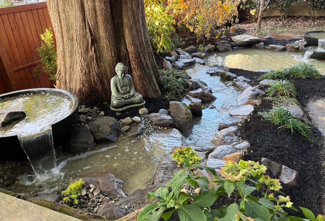 Hideaway pond series