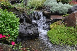 Small Backyard Pond Ideas in Chester County