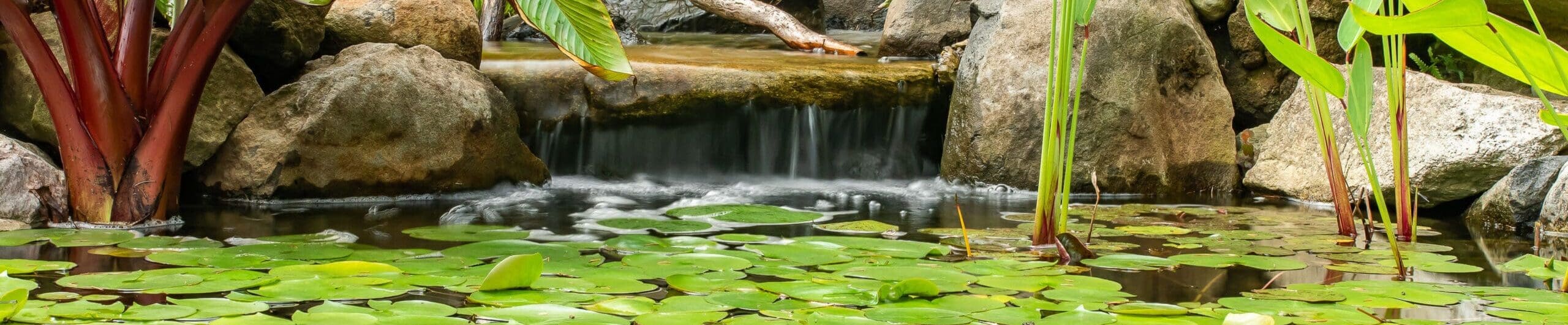 chadds-ford-pa-pond-maintenance2 (1)