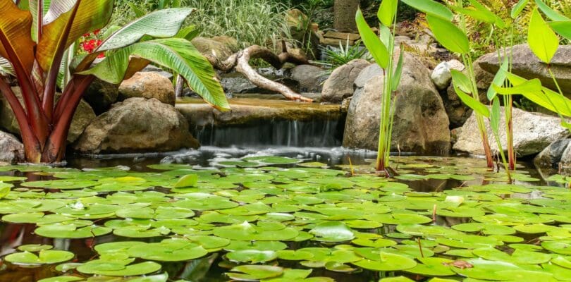 chadds-ford-pa-pond-maintenance2 (1)