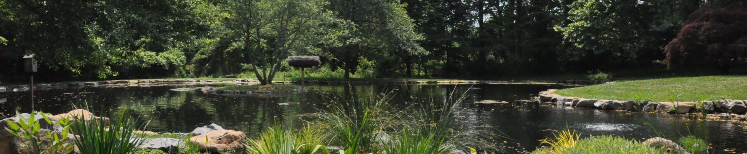 malvern-pa-pond-maintenance2 (1)