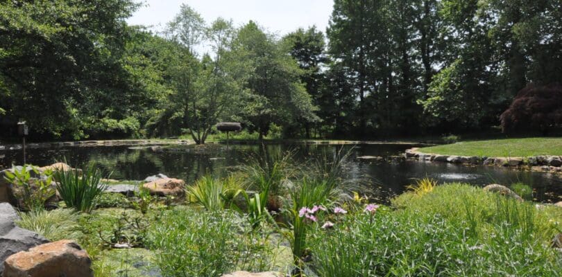 malvern-pa-pond-maintenance2 (1)