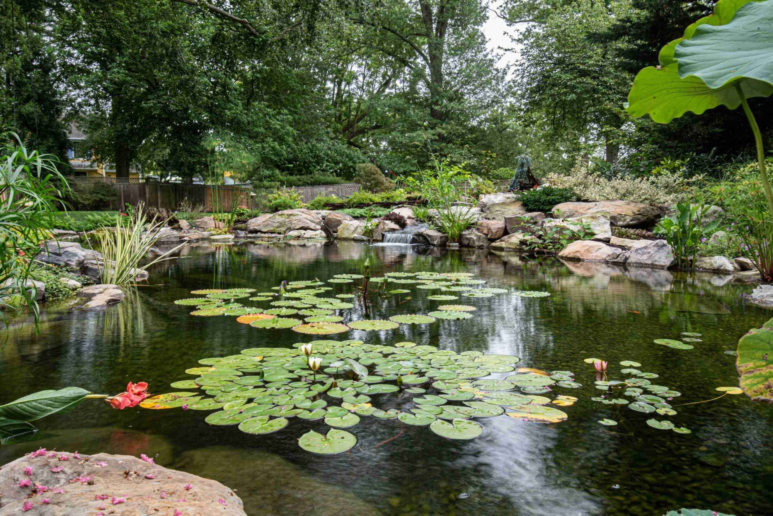 16-Aug 21, 2025 23-41-19-Nt7c_3_11zon