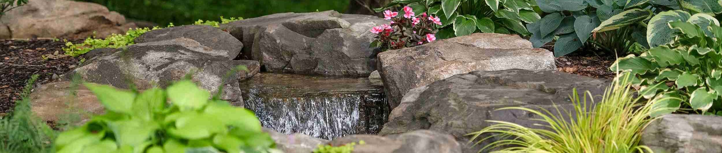 20250529-DSC_6698-Edit_4_11zon