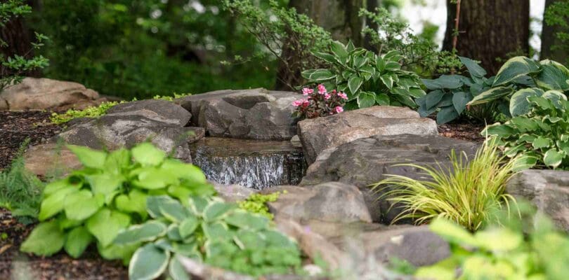 20250529-DSC_6698-Edit_4_11zon