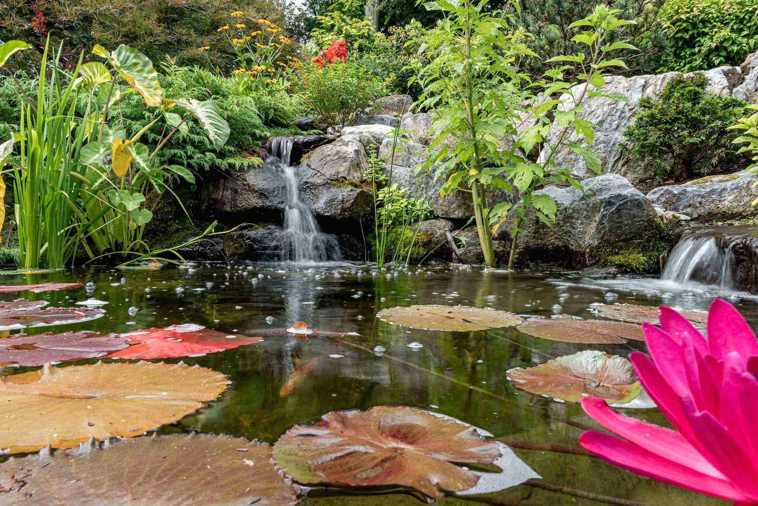 20250726-_DSC1738_8_11zon_11zon