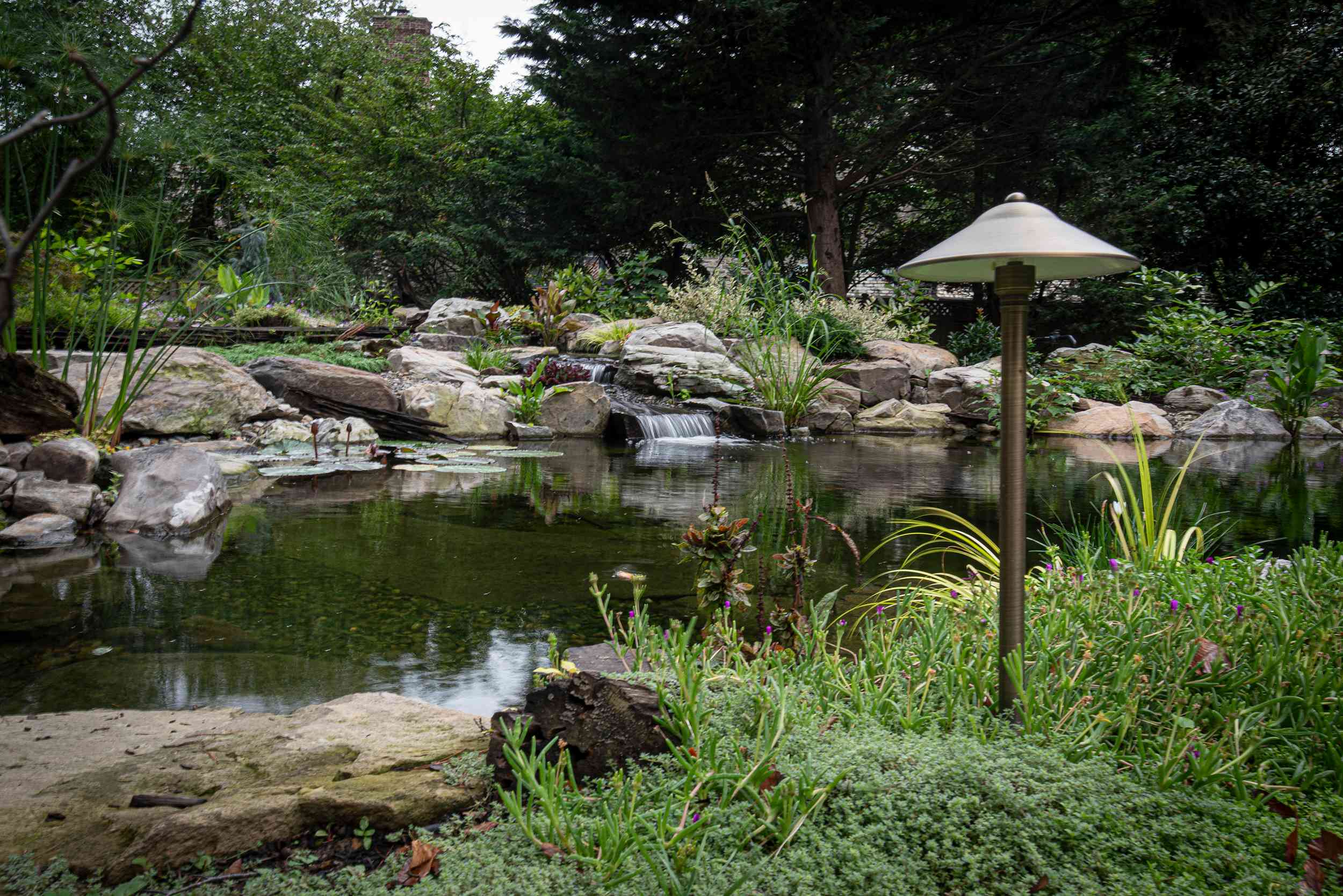 20250821-DSC_7940_4_11zon