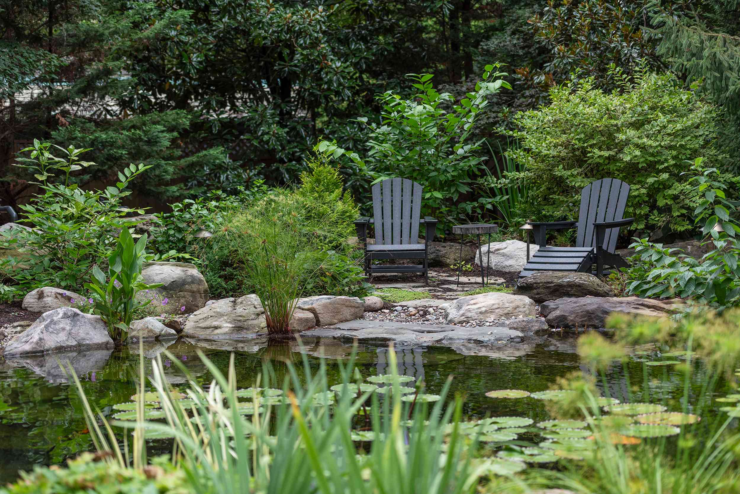 20250821-_DSC3469_10_11zon