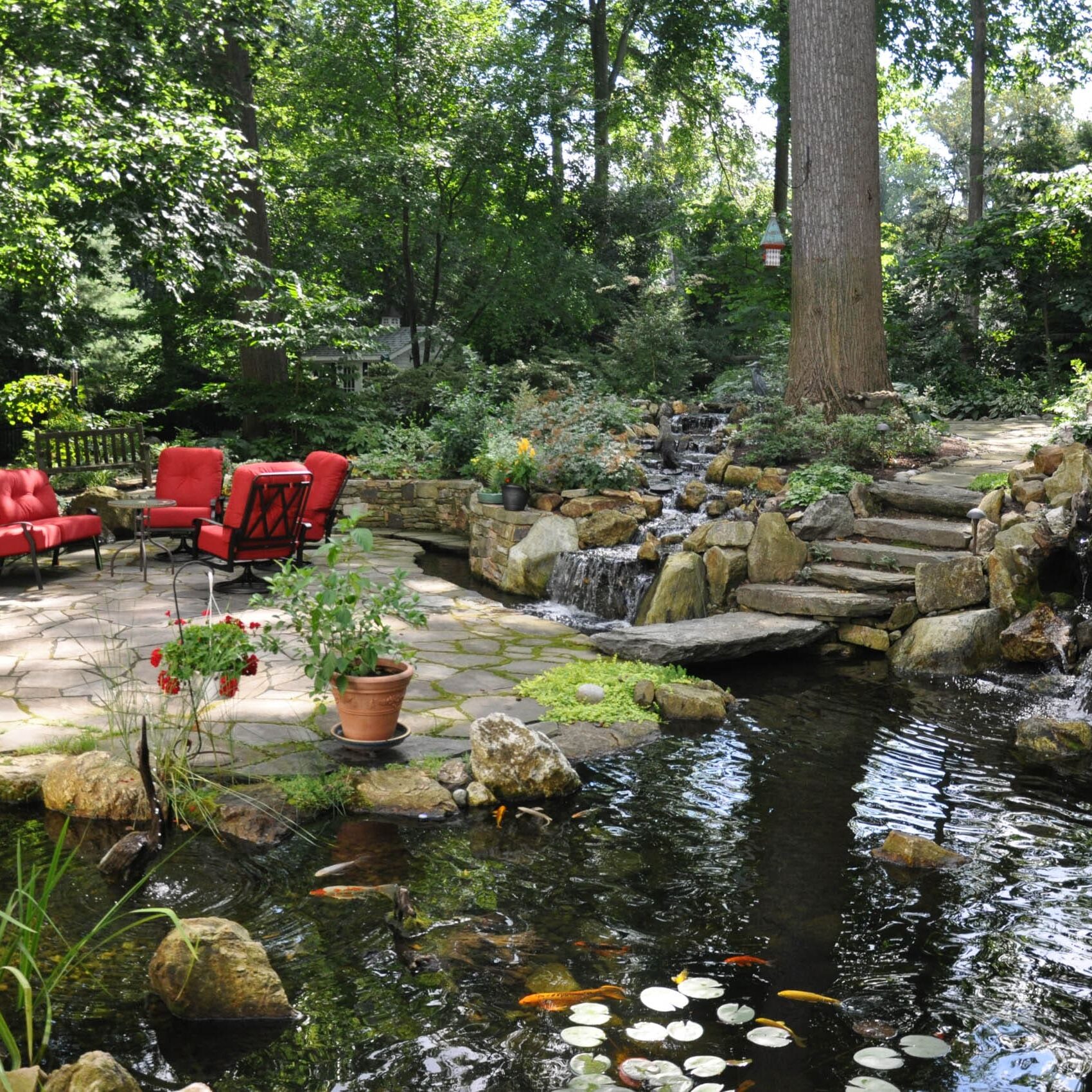 Copy of Copy of Pond_9