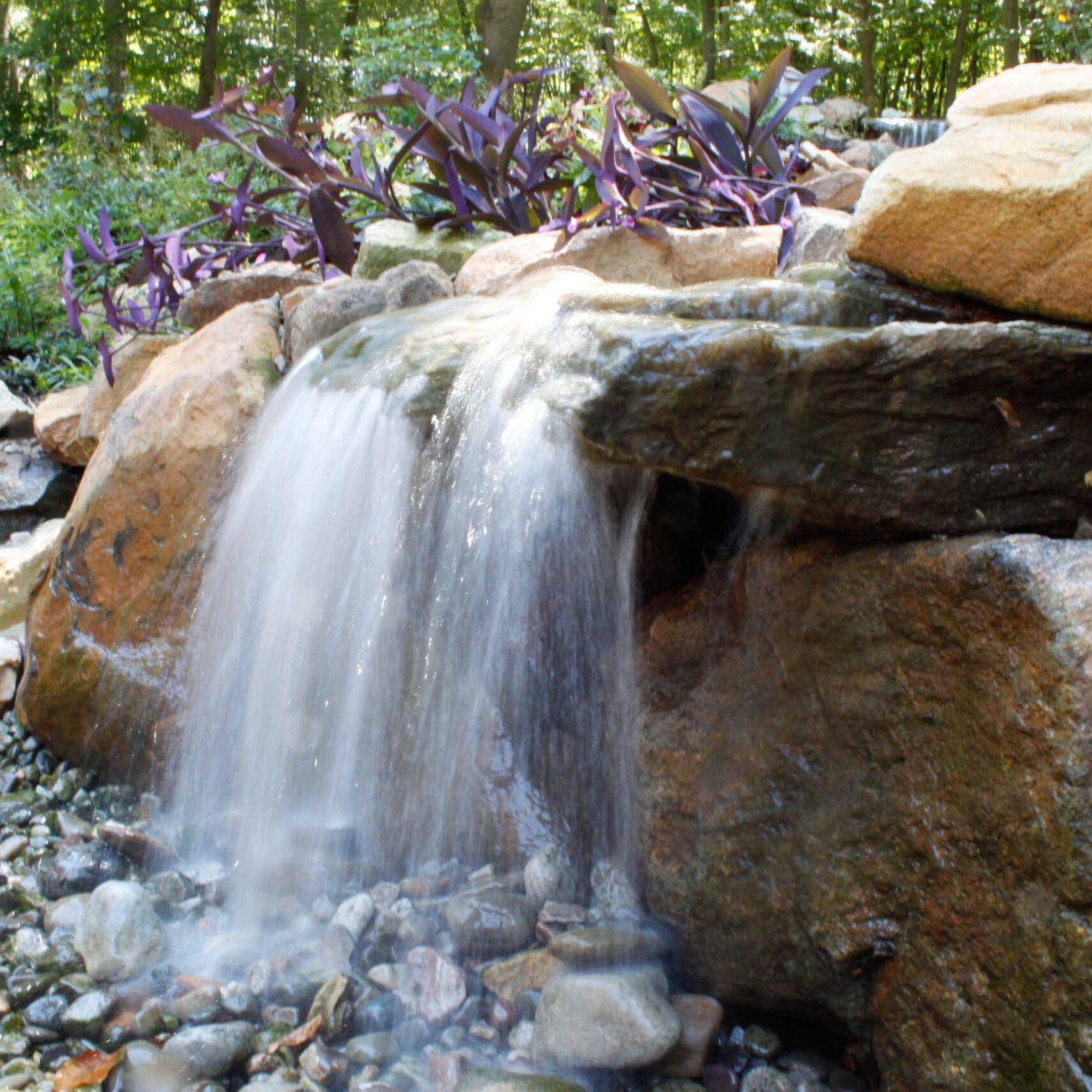 Copy of Copy of Pondless_5