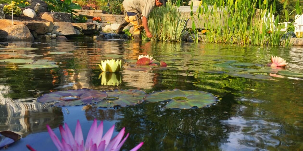 Pond_Maintenance_Chester_County