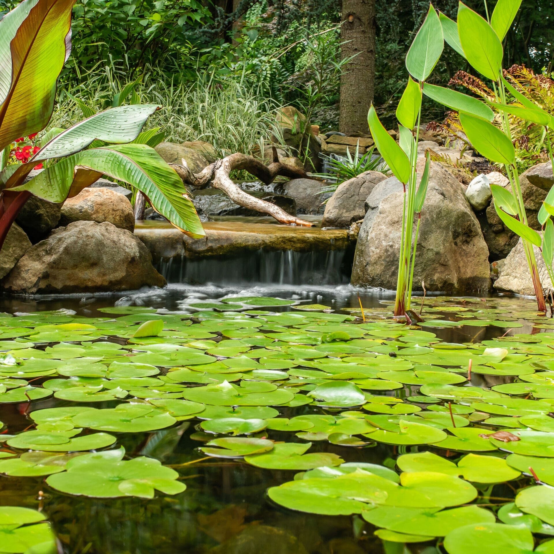 chadds-ford-pa-pond-maintenance2 (1)