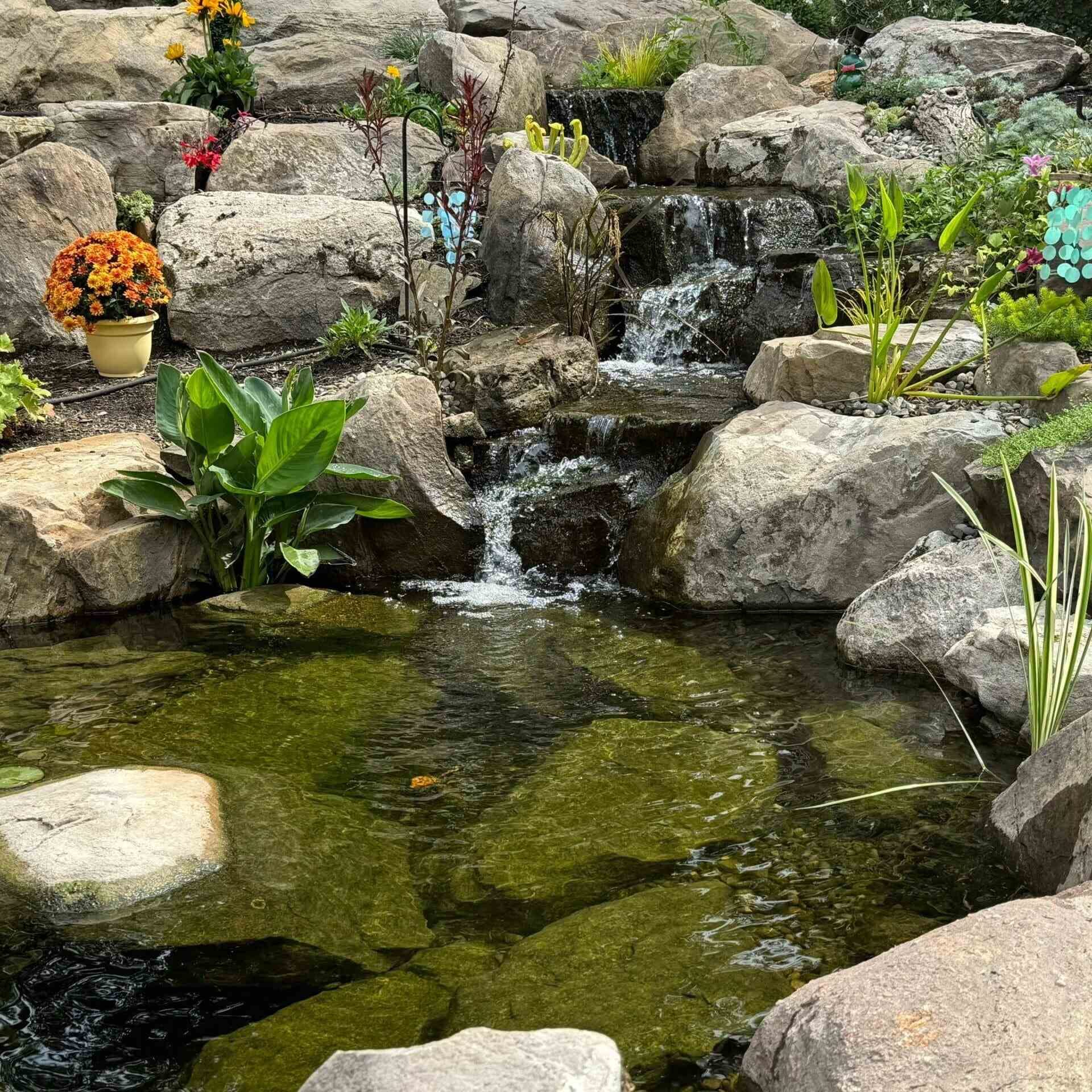 malvern-pa-pond-maintenance1_11zon